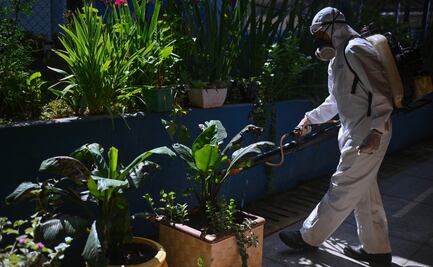 Brasil registra nuevo récord de muertes por dengue