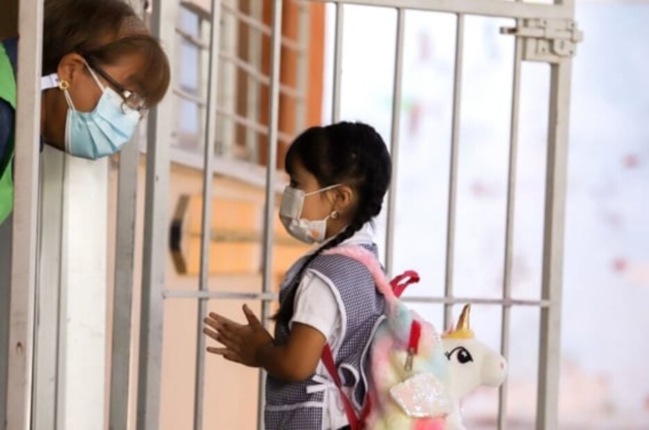 La ansiedad escolar, frente a las clases virtuales, colapsó durante la pandemia 