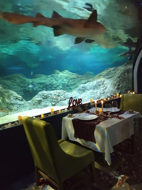 Tip de la editora: dos lugares románticos en Puebla para comer entre peces y animales salvajes