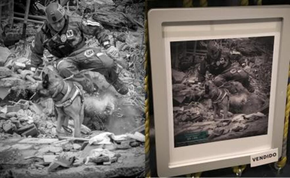 Plagian y venden fotos de Daniel Aguilar sobre el 19-S