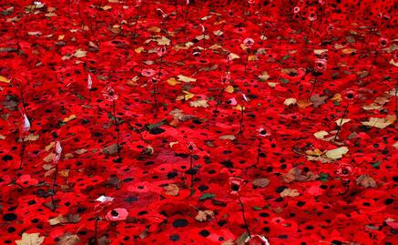 First World War Centenary: Lessons in forgiveness
