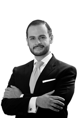 José María Soberanes Díez