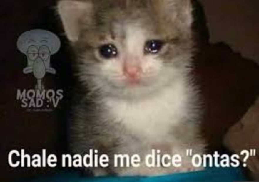 Estos son los mejores memes del ¿Ontas?