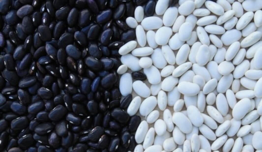 5 alimentos que debes comer con frecuencia para mantenerte saludable