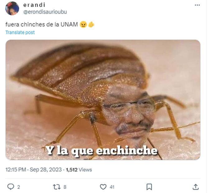 Memes de chinches en la UNAM. Foto: Redes Sociales