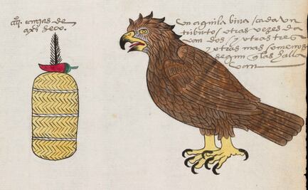 Indagan sobre la conformación química y el uso del chile