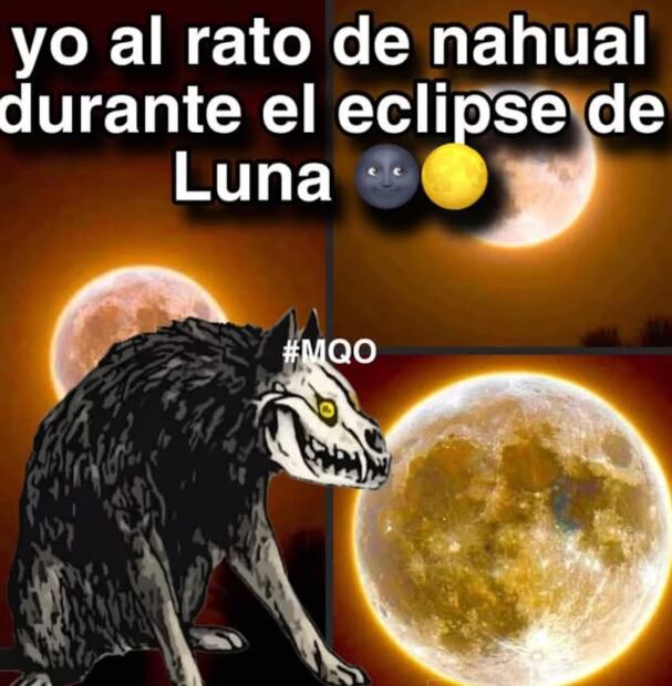 Foto: Vía X.