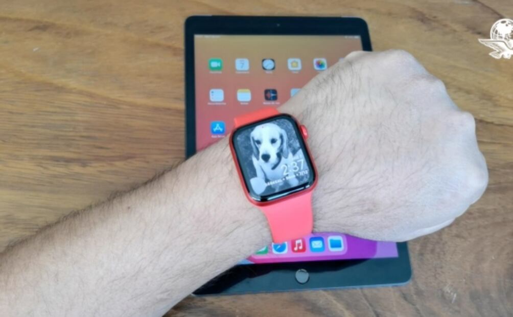¿Conviene comprar los nuevos Apple Watch Series 6 y iPad de 8va Generación?