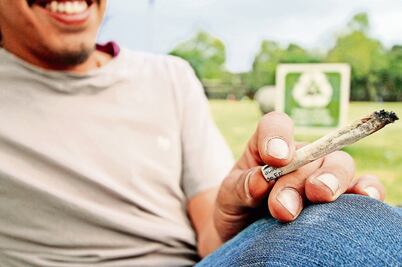 Ofrecen diputados legislación responsable sobre marihuana