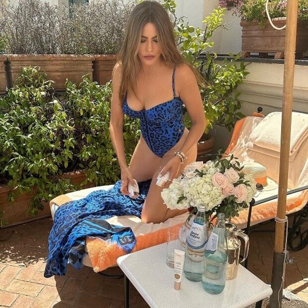 Foto: Instagram @sofiavergara