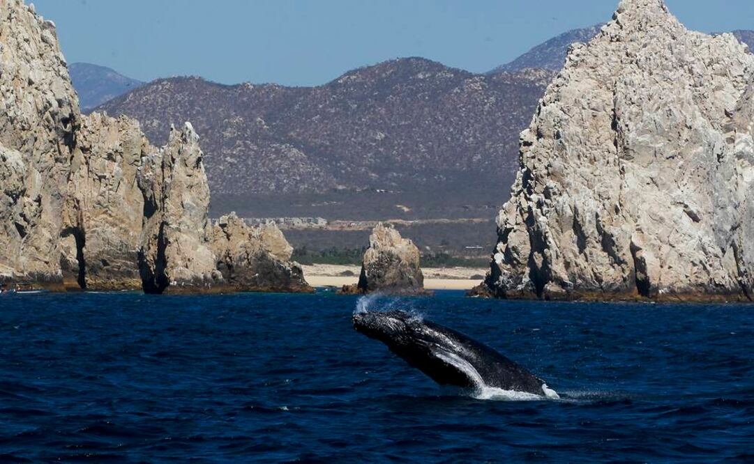 Foto: Archivo EL UNIVERSAL