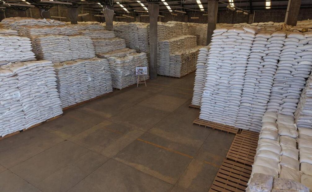 Sacos del producto para frijol del Bienestar (12/04/2025). Foto: Especial