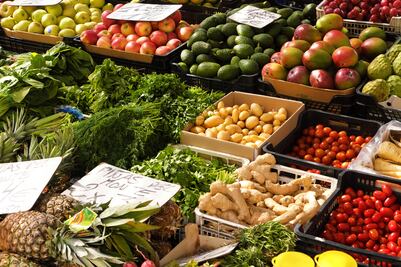 México y Canadá amplían intercambio de productos vegetales; buscan ser aliados estratégicos en abasto de alimentos