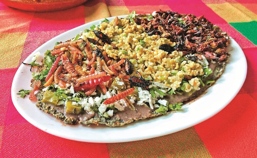 La cocina oaxaqueña conserva técnicas e ingredientes tradicionales, como el asiento de las tlayudas. Foto: Diana Féito / EL UNIVERSAL