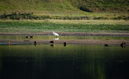 Por rehabilitación, se mantiene cerrado el parque Sierra Morelos: Medio Ambiente del Edomex