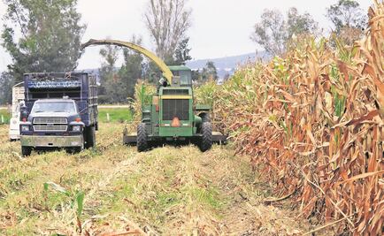 Inician credencialización de jornaleros agrícolas en Hidalgo