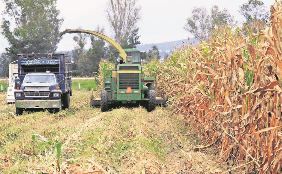 El delegado de Desarrollo Social de Hidalgo, Onésimo Serrano, indicó que las amenazas de los enganchadores obstaculizan el proceso de credencialización (Foto: Archivo/El Universal)