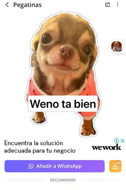 Foto: Anim Stickers