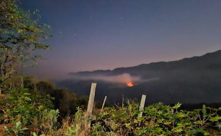 Incendio forestal en comunidad triqui de Oaxaca cumple una semana sin atención; se desconocen las hectáreas afectadas