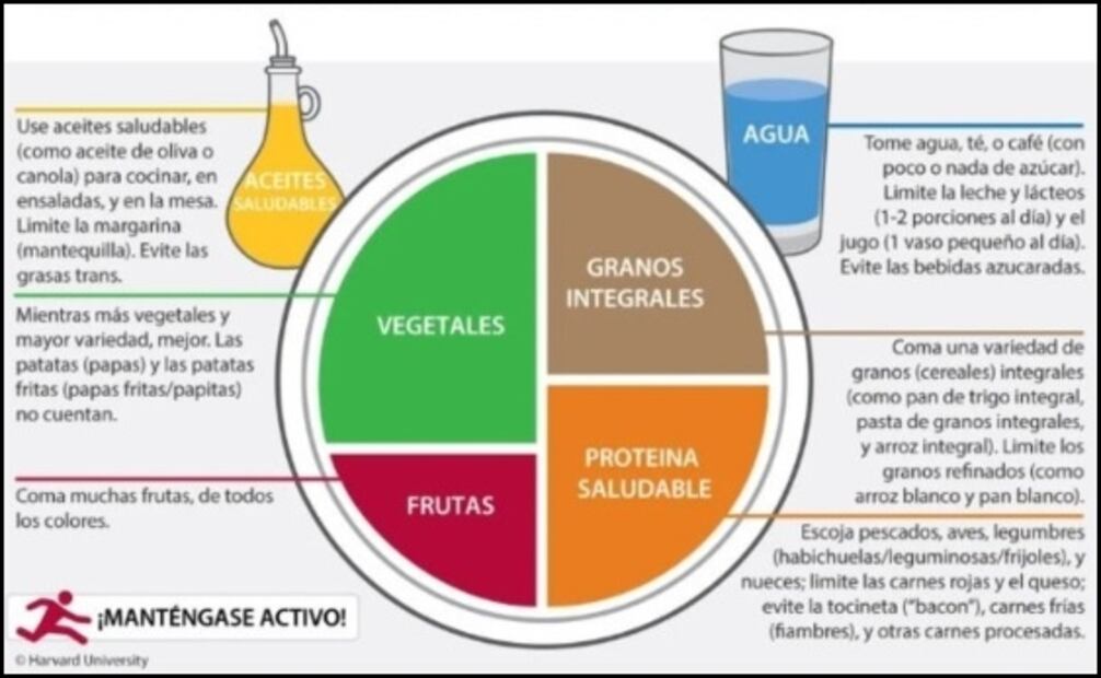 Plato de comida saludable. Fuente: Universidad de Harvard
