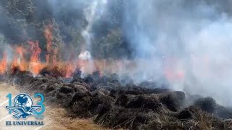  Incendios de 2018 en Edomex, provocados por descuido: Probosque   