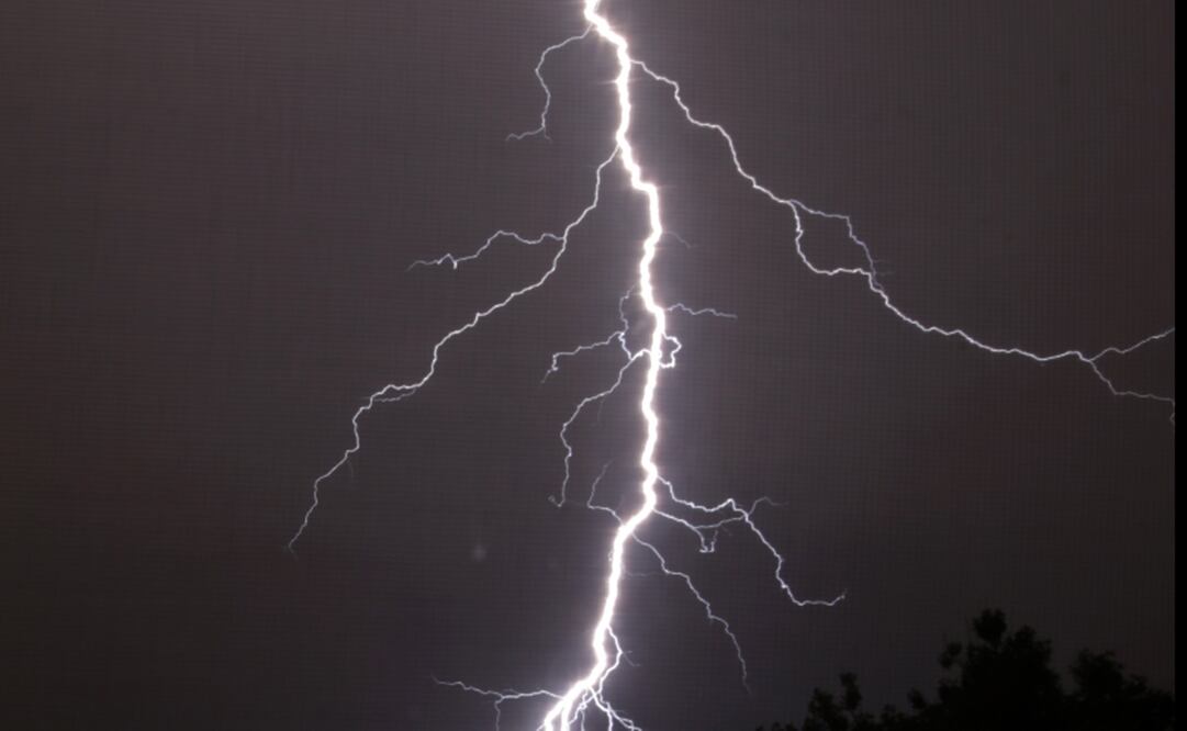 "El rayo impactó en el remolque. El ganado estaba amontonado alrededor del remolque y los impactó a todos", dijo George Crocket, forense del condado. Foto: AP