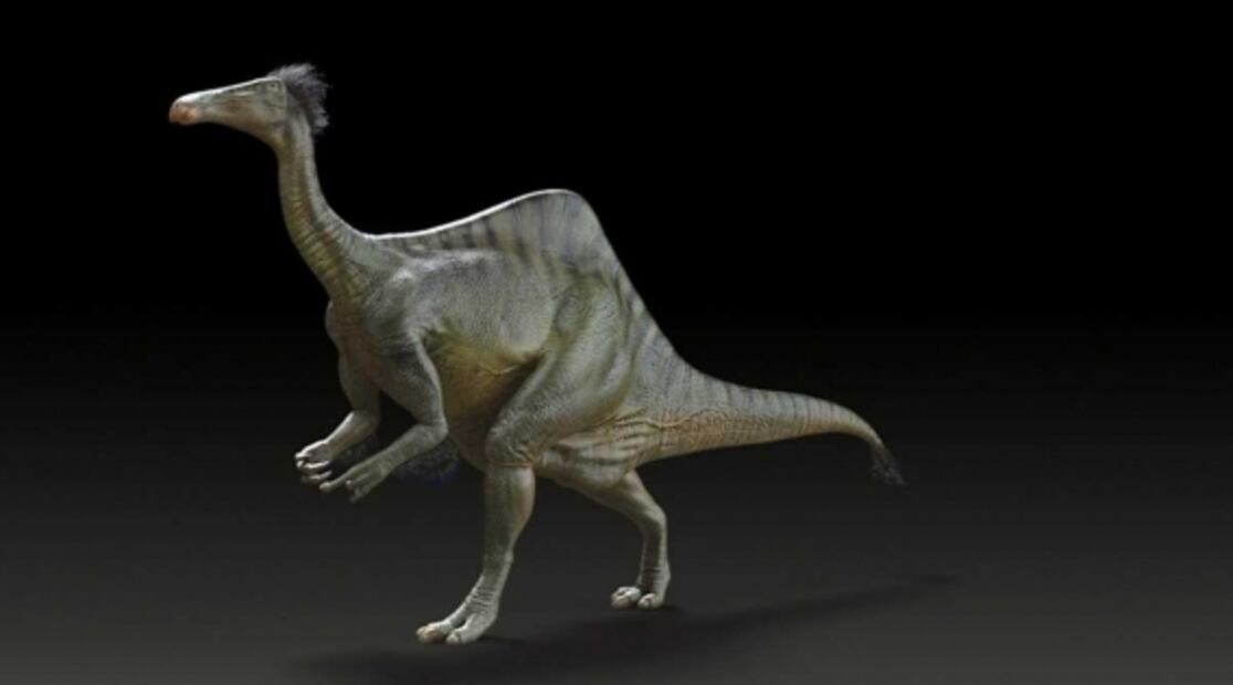 Hallan embrión de dinosaurio dentro de un huevo fosilizado