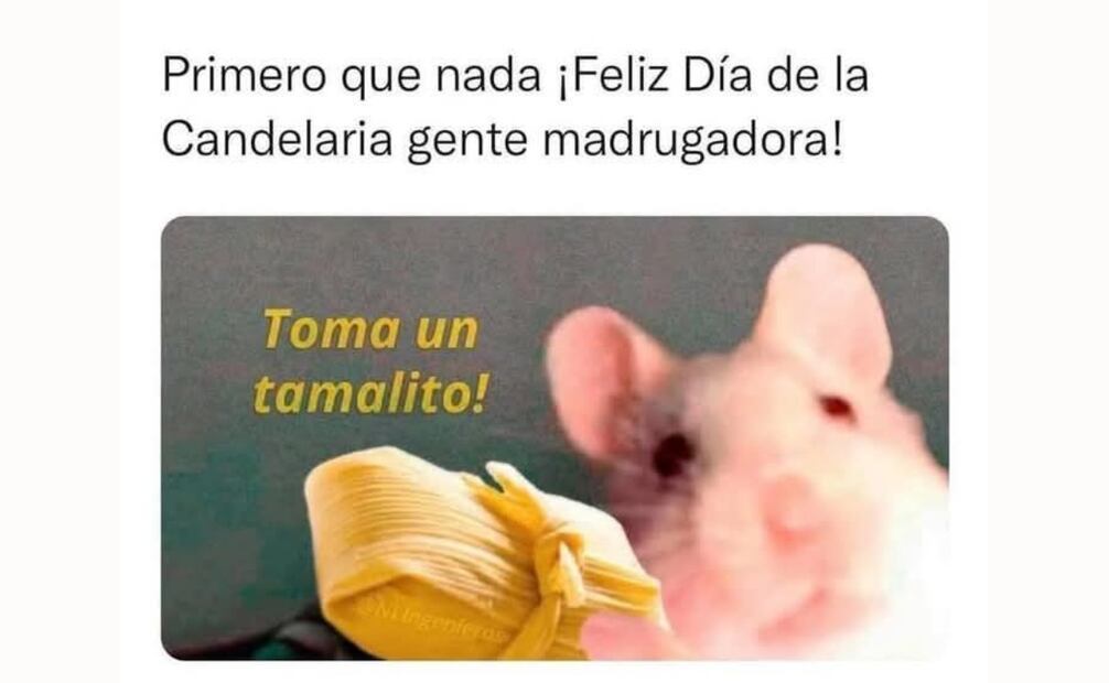 Los mejores memes para disfrutar los tamales este 2 de febrero
Foto: Captura de pantalla en X