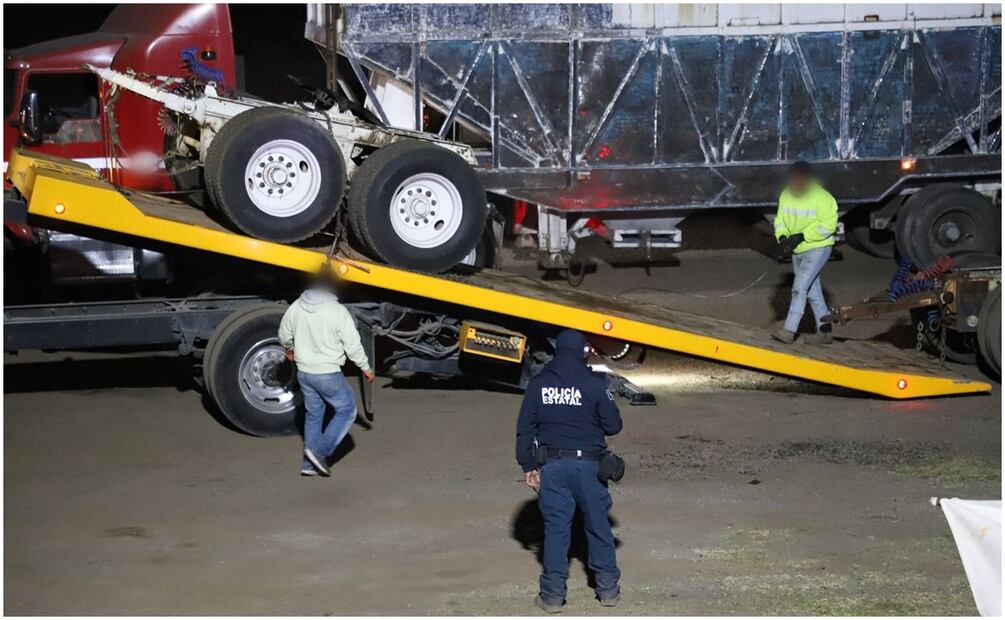 Las autoridades también recuperaron autos y tractocamiones que fueron puestos a disposición de las autoridades competentes (18/12/2024). Foto: Especial