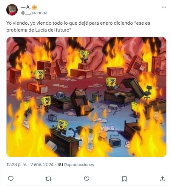 Meme enero