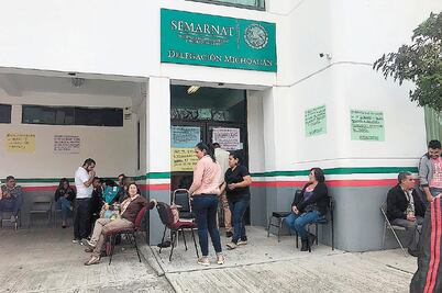 “Nombramiento en Medio Ambiente es buena noticia”