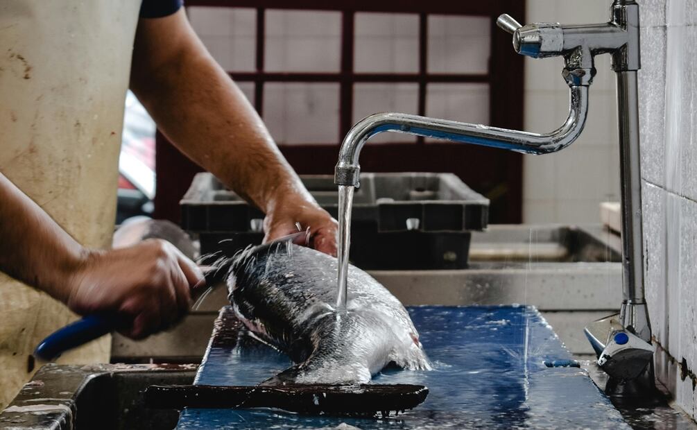 ¿Cómo limpiar el pescado? Foto: Pexels