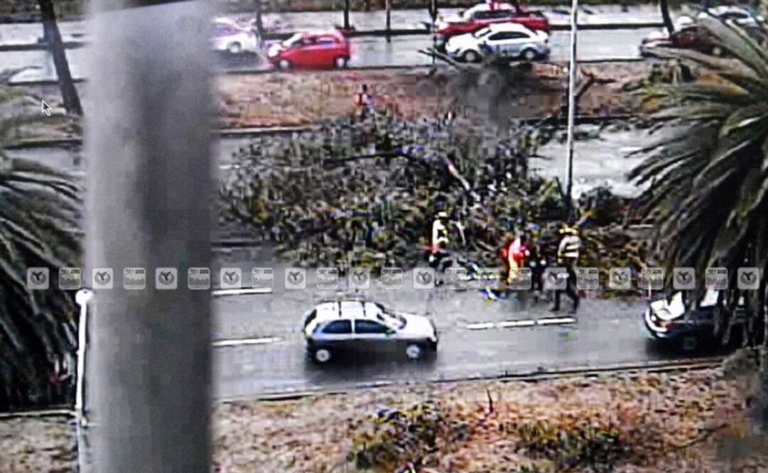 Tomada de @ciudad_segura