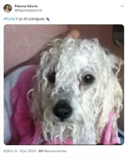 Meme por lluvias en CDMX