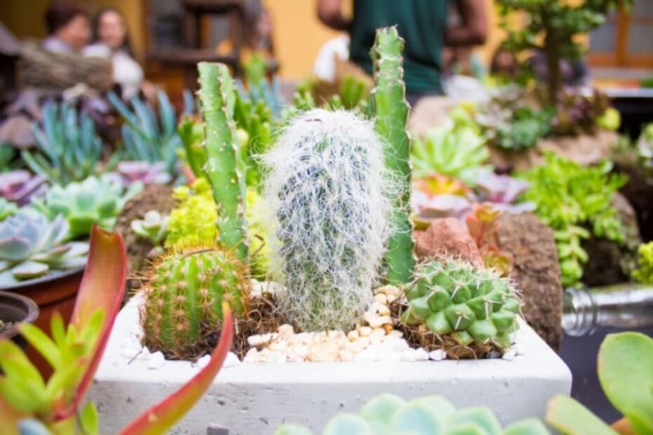 Qué hacer este fin de semana en la Ciudad de México