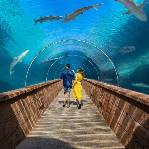 Foto: Atlantis Bahamas