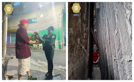 Policías rescatan a perrito atrapado entre muros; operativo ocurrió en Iztapalapa