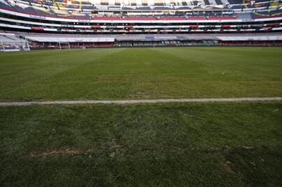 Pasto híbrido, la incógnita del Azteca en la liguilla