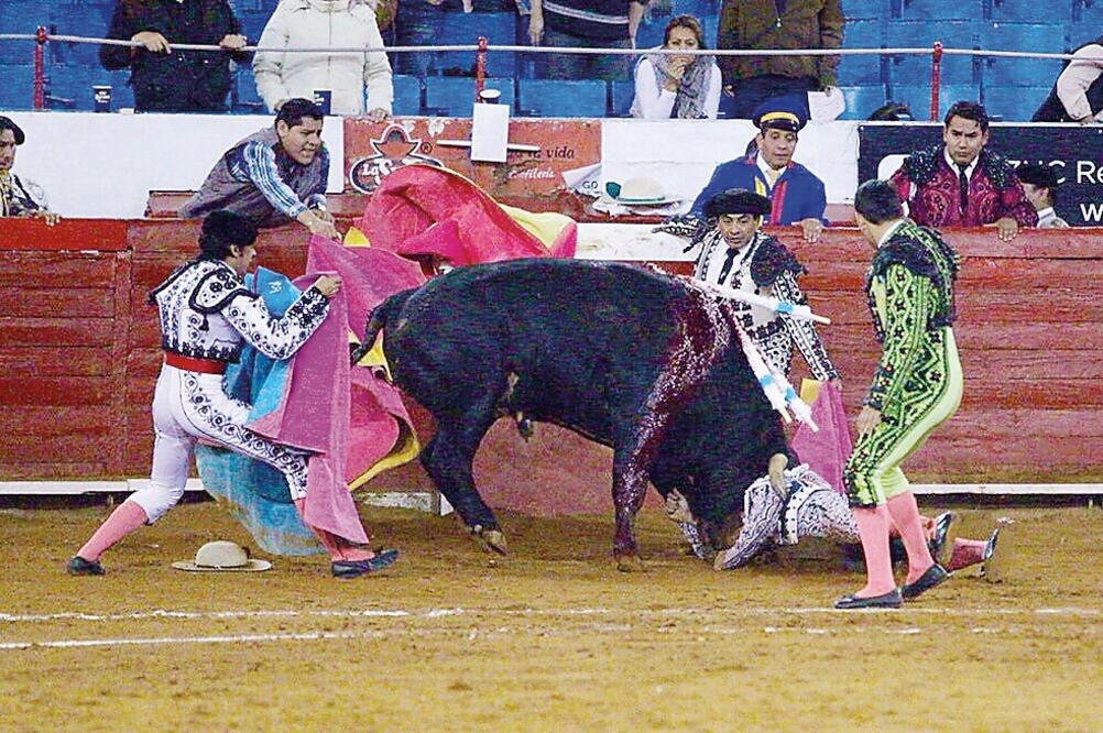 La cornada de ‘Sangre nueva’ provocó heridas en un pulmón y el corazón, además de fractura de costillas (EFE)