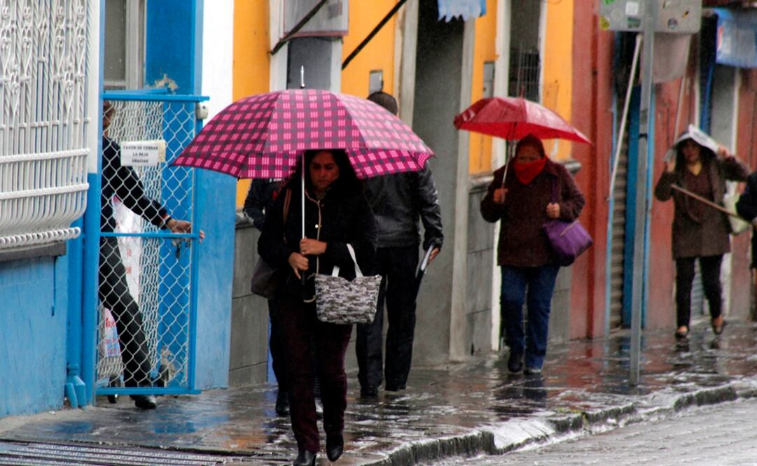 Foto: Omar Contreras / EL UNIVERSAL