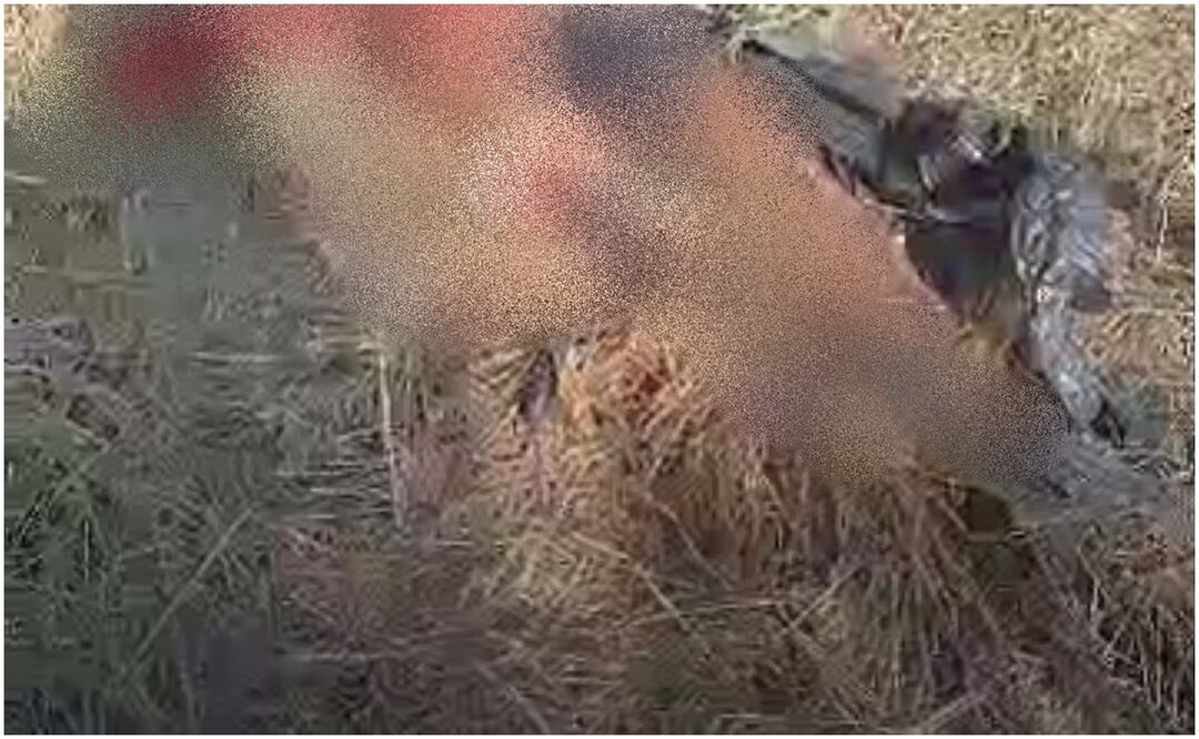 Descubren restos humanos en Tamaulipas que podrían ser de una mujer (12/1172024). Foto: Especial