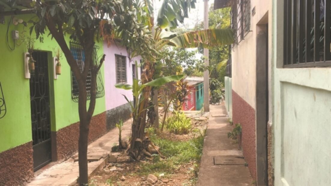 Victoria vivió guerra y pandillas en El Salvador; en México encontró la muerte