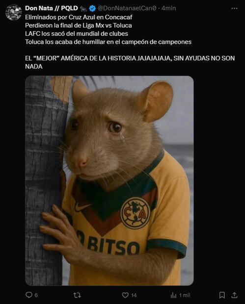 Estos son LOS MEJORES MEMES de la derrota del América en el Campeón de Campeones