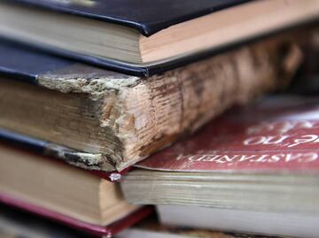 Devuelve libro a biblioteca medio siglo después de sacarlo