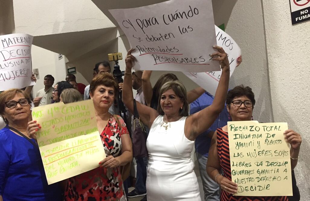 Las activistas señalaron que la iniciativa no contempla casos de ataques sexuales, violaciones y problemas de salud de la futura madre. Foto: Javier Cabrera / EL UNIVERSAL.