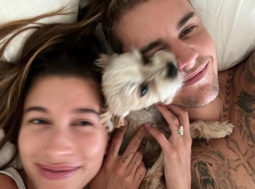  Así viven los perros de famosos: con más lujos que cualquier mortal