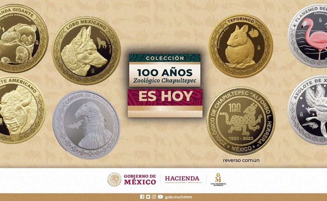 Foto: Secretaría de Hacienda