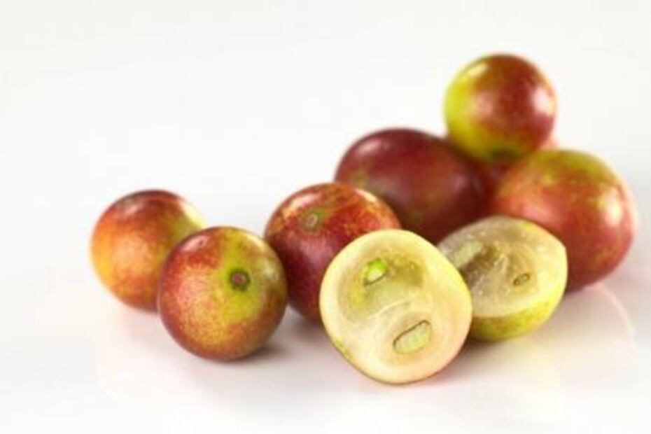 Camu-camu, la sorprendente fruta que combate la obesidad