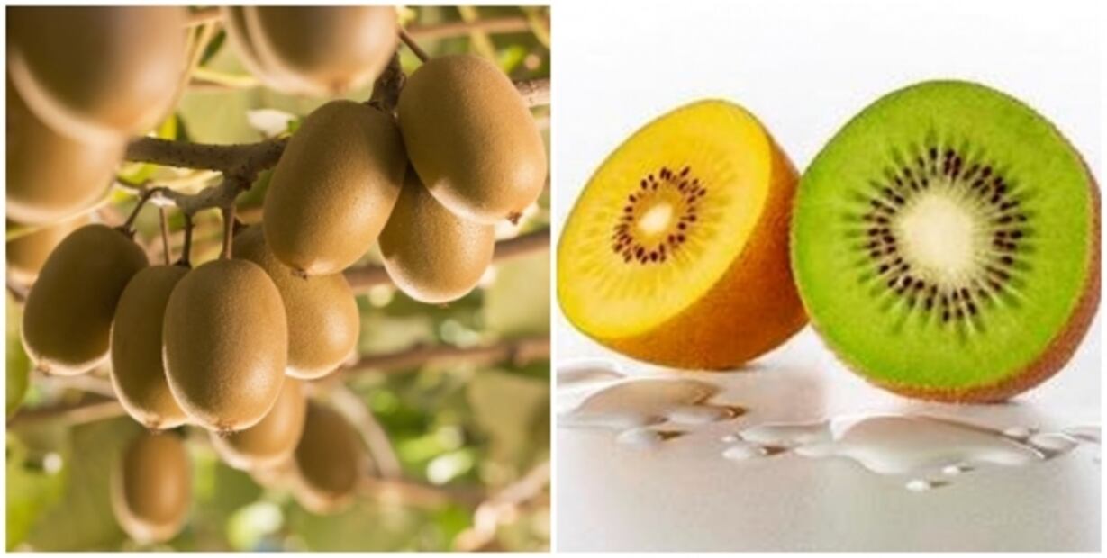 Los beneficios de comer kiwi