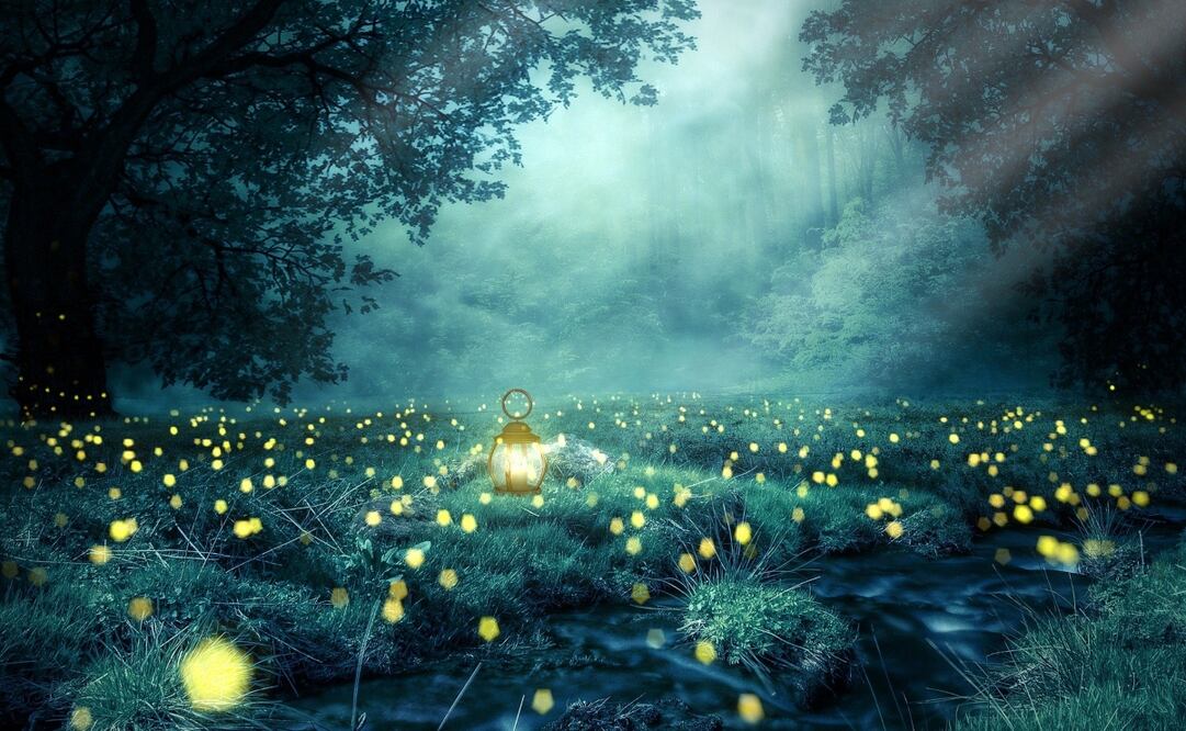 Cada año se abre el avistamiento en el Santuario Piedra Canteada en Tlaxcala. Imagen Pixabay 